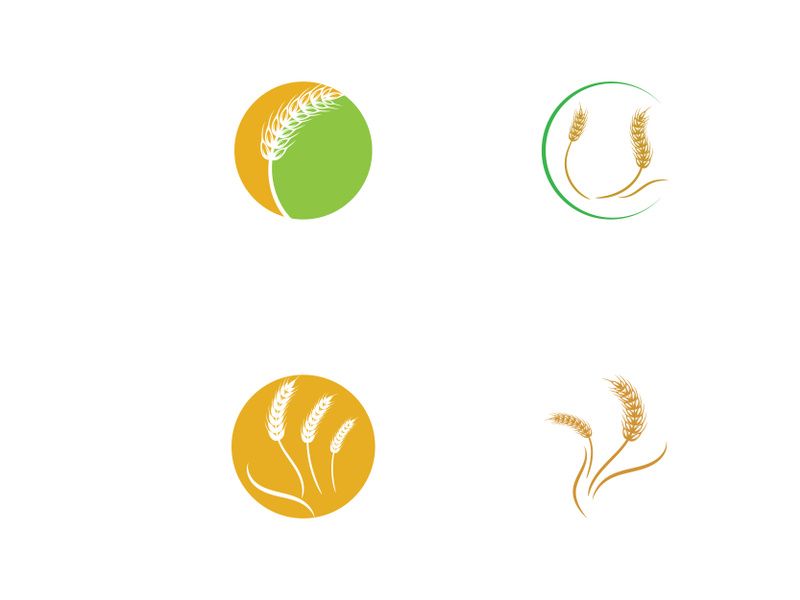 Wheat or cereal logo, wheat field and wheat farm logo.With easy and simple editing.
