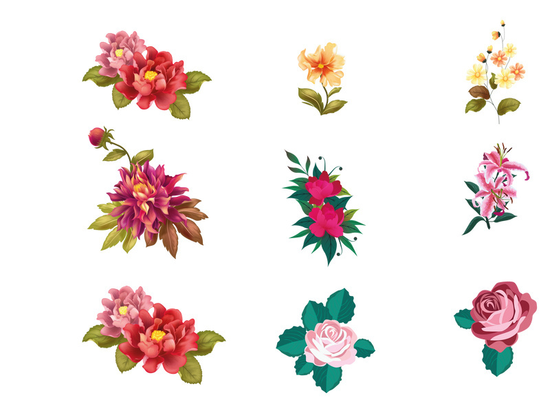 Vector Flower Watercolor Illustration