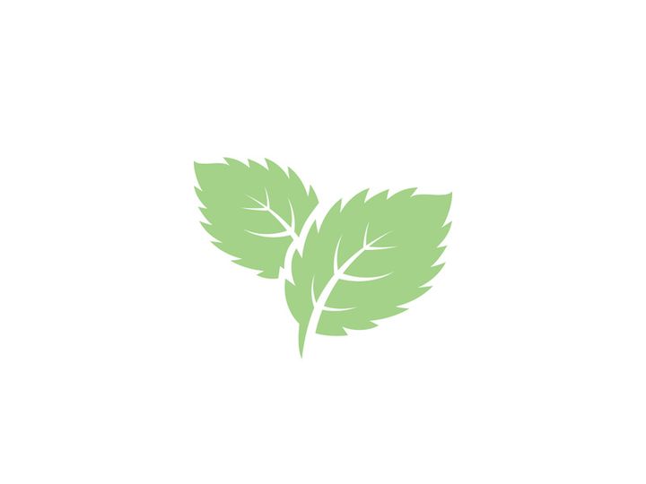 Mint Leaf icon template illustration