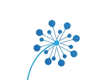 Dandelion flower logo vector