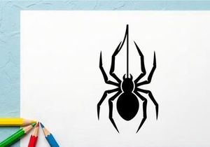 Black Widow Spider Silhouette for Nature or Pest Control Themes