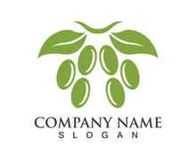 Extra virgin olive oil logo icon design vector illustration