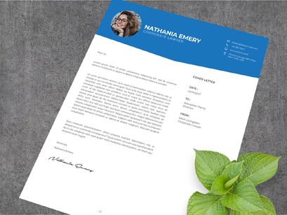 Professional CV Resume - Corporate Lawyer