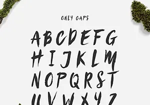 Sanös Brush Script Font