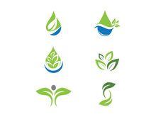 Green Tree leaf ecology nature element