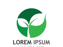 Natural green leaf logo.