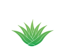 Aloe Vera logo icon design symbol beauty skin care