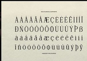 Deiloya | Classic Serif Typeface