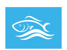 Fish logo template. Creative vector symbol
