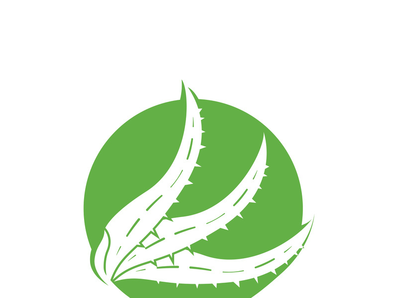 Aloe Vera logo icon design symbol beauty skin care