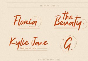Natureal Script - Elegant Font