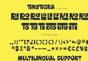 TinyTigra - Display Font