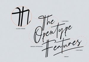 Schrödinger's | Signature Font