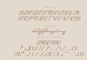 Quentty Script