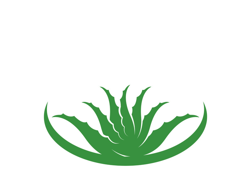 Aloe Vera logo icon design symbol beauty skin care