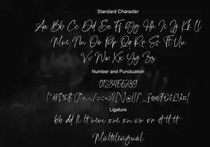 Magis Authentic - Signature Font