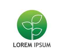 Natural green leaf logo design.