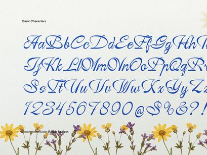 Ranoa Scaloth | Handwritten Script