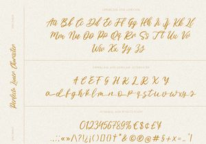 Perfecta Liner - Handwritten Script