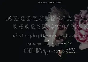 Delicate Curly Hand Writing