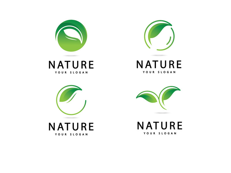 Green leaf logo  Nature icon design