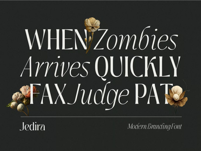 Jedira - Modern Branding Logo font