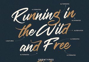 Haredang - Bold Script Font