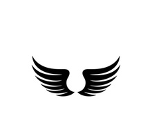 Wing illustration logo and symbol vector