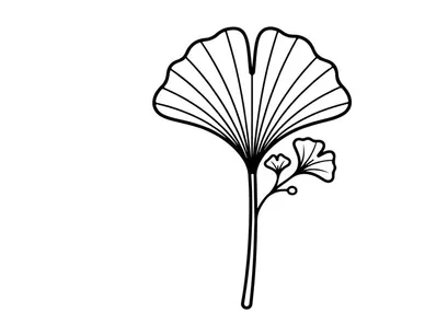 Elegant ginkgo leaf illustration for design projects. Artistic botanical drawing for nature-themed visuals.