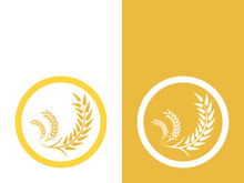 Wheat logo vector icon illustration design