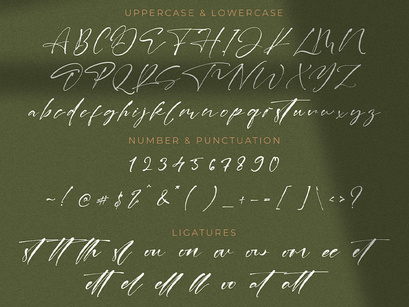 Laneky Haizen - Signature Script Font