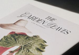 MIDNIGHT SERENITY - modern luxury font