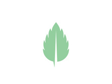 Mint Leaf icon template illustration