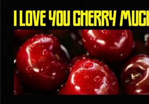 Cherrys - Condensed Sans Serif Font