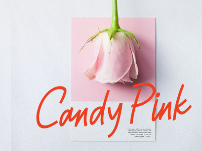 Rapika Logical | Casual Handwritten