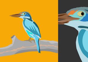 Birds Vector Bundle
