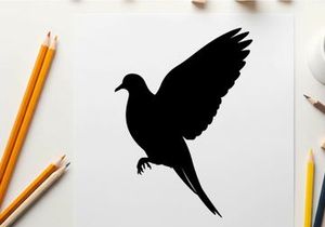 Silhouette of a bird in flight with wings spread wide
