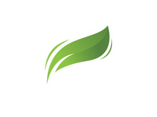 Green leaf logo  Nature icon design
