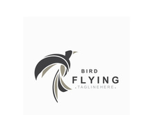 Flying Bird modern logo design isolated white background template