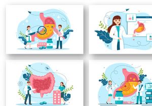 12 Stomach Health Gastroenterology Illustration