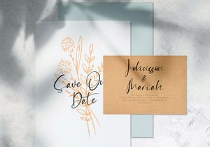 Catthy Wellingten - Modern Script Font