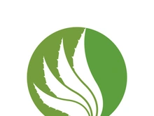 Aloe Vera logo icon design symbol beauty skin care