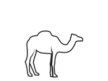 Camel Icon Vector illustration design