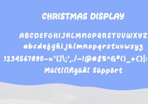 Christmas Display