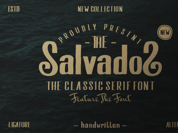 Salvados preview picture