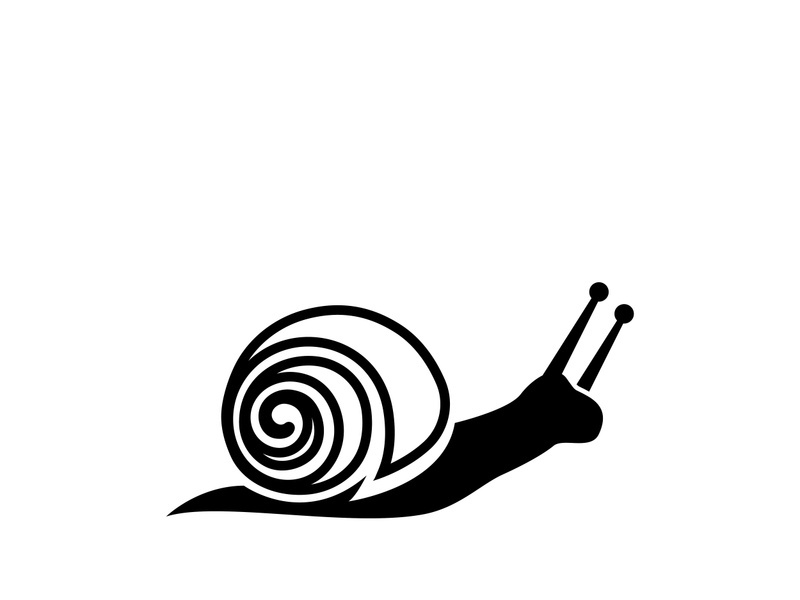 snail animal logo and symbol template