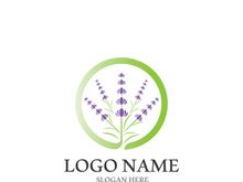 Lavender flower vector icon illustration design template