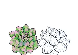 Florals | Free Hand Drawings