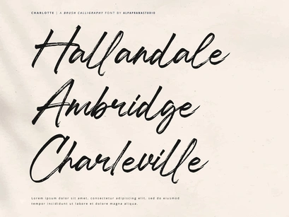 Charlotte - Brush Calligraphy Font