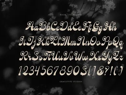 Rolling Rhapsody | Handwritten Script